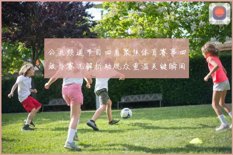 公共频道节目回看聚焦体育赛事回放与赛况解析助观众重温关键瞬间