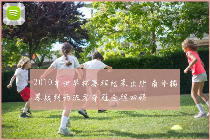 2010年世界杯赛程结果出炉 南非揭幕战到西班牙夺冠全程回顾