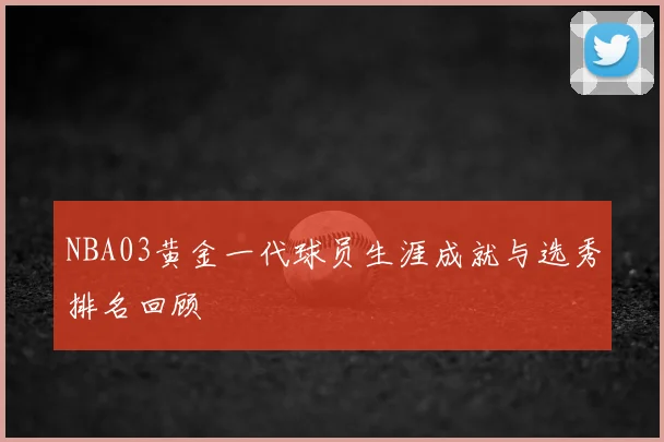 NBA03黄金一代球员生涯成就与选秀排名回顾