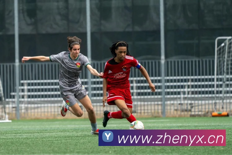 多媒体互动体验